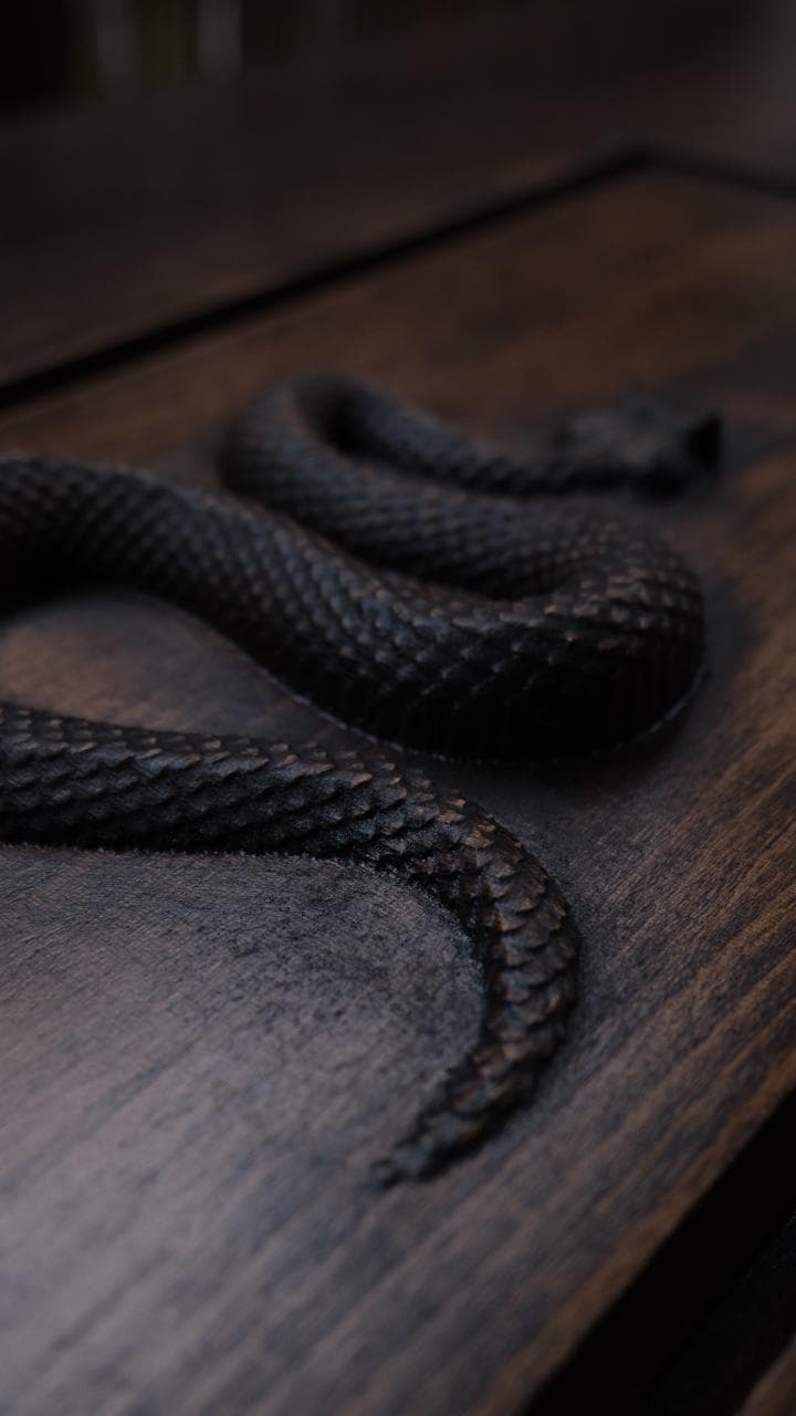 Chapan[Tea Snake] 44x23