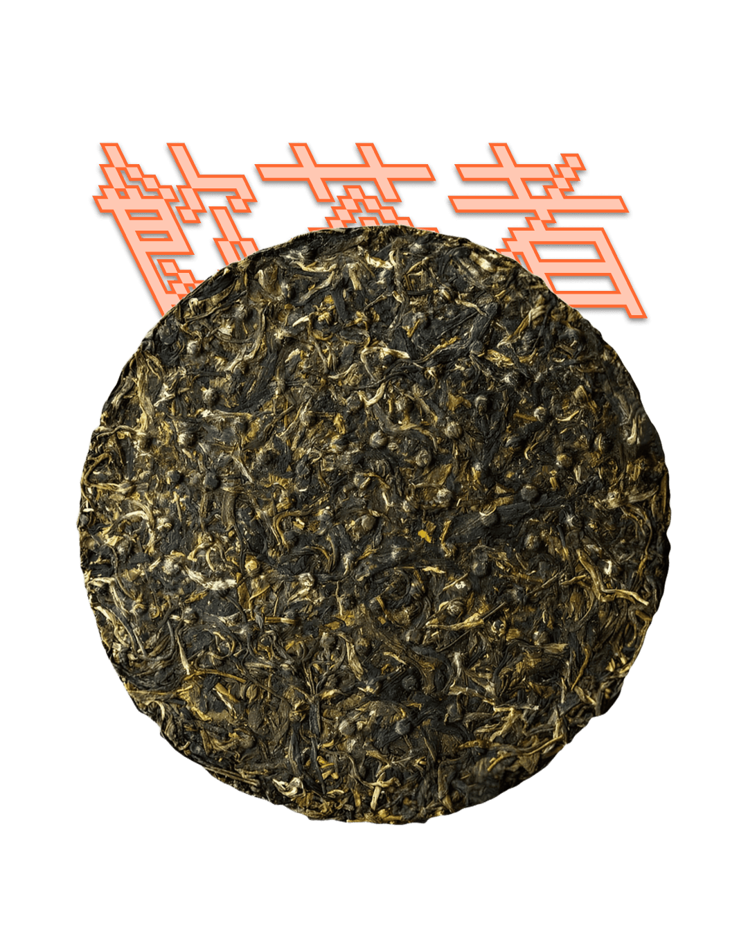 Sheng Puerh 2003 [Xia Guan] 357g