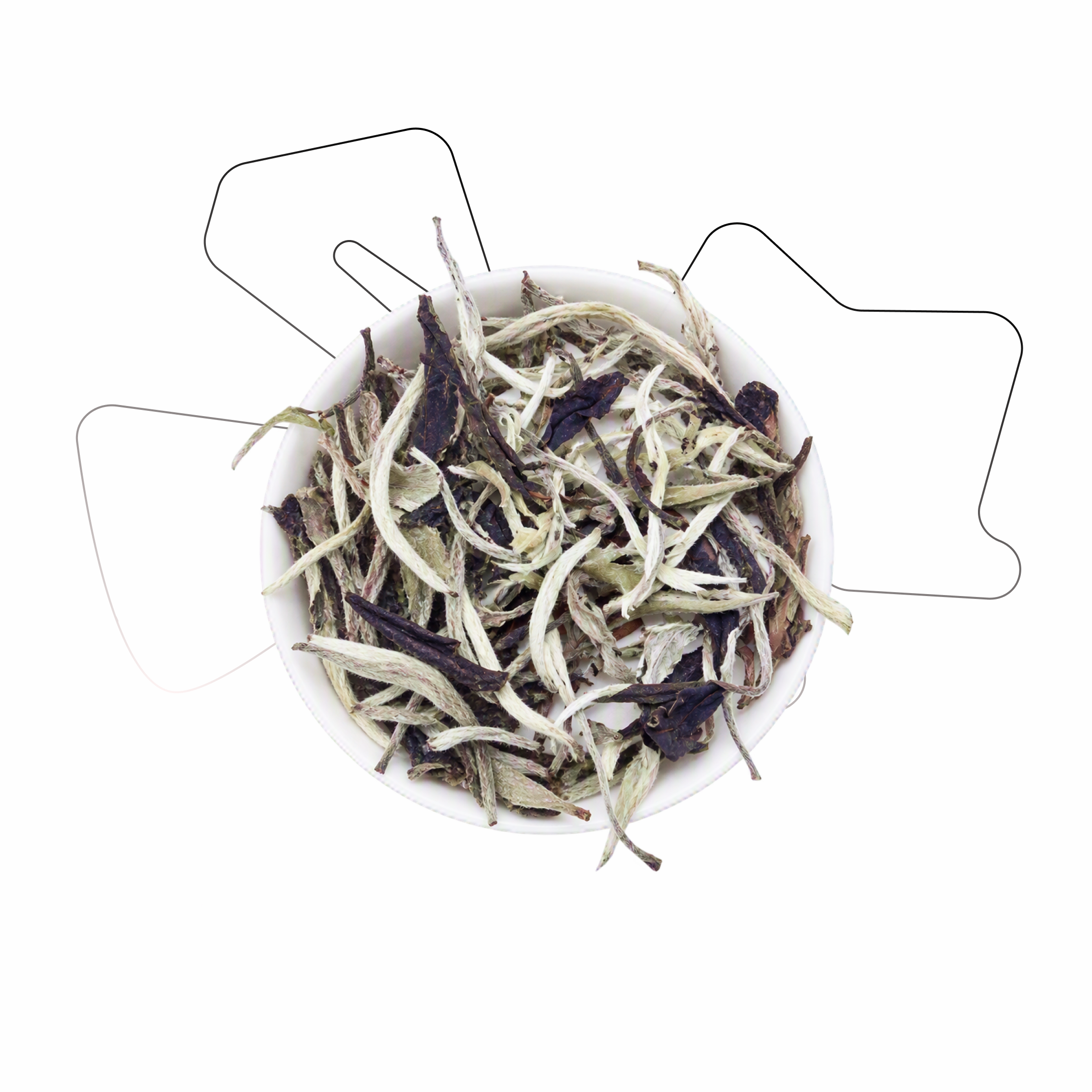 White tea [JESUS`CRY]2020 50G