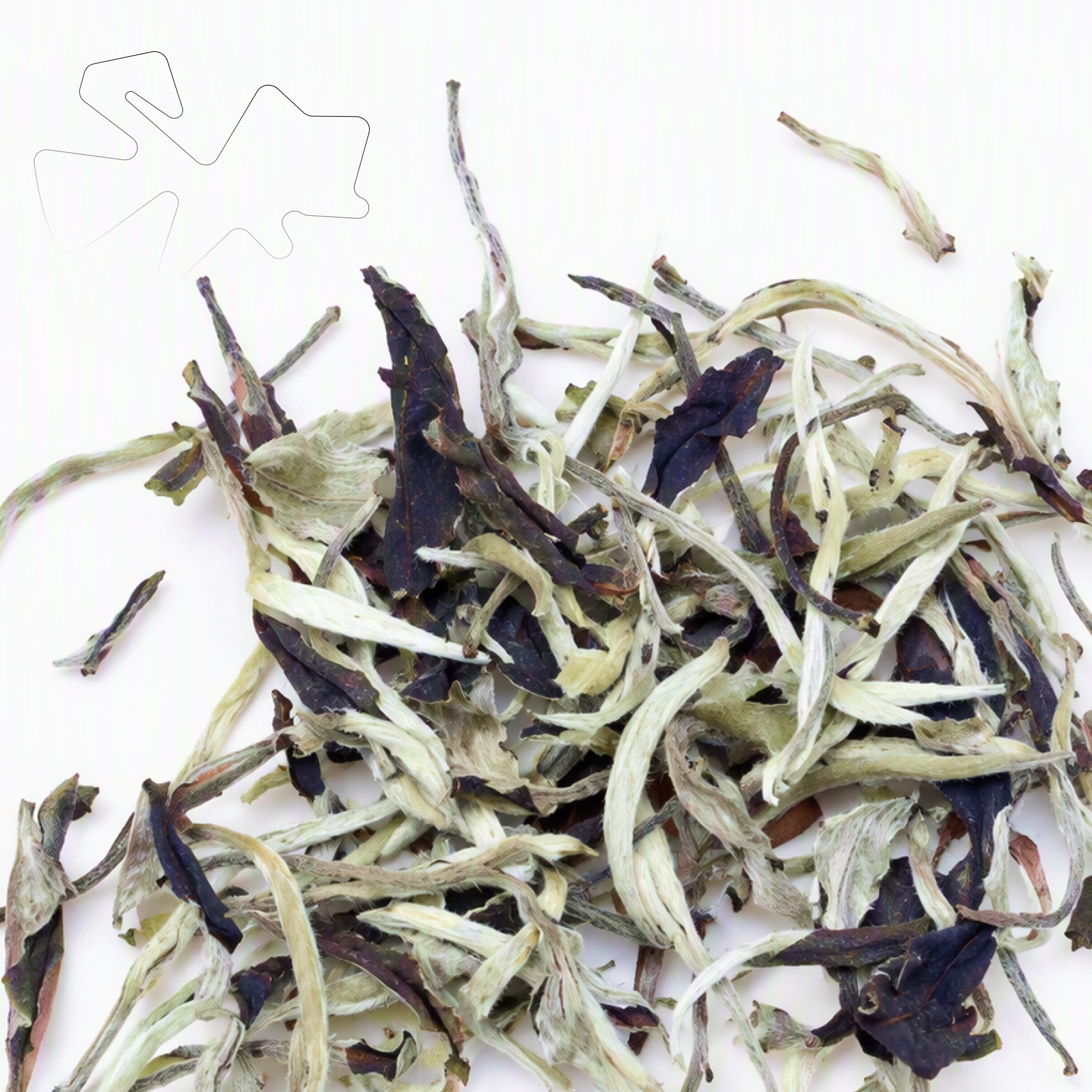 White tea [JESUS`CRY]2020 50G